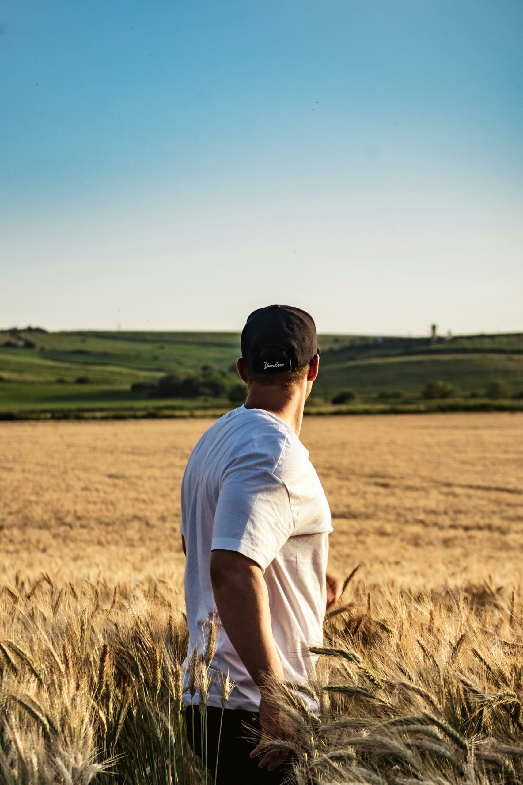 pexels-vlad-chețan-2600332